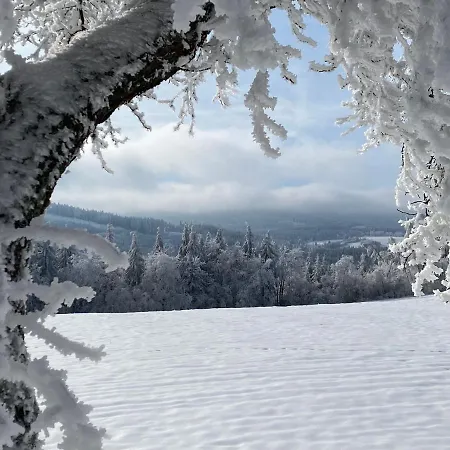 Hillside šumava 3*