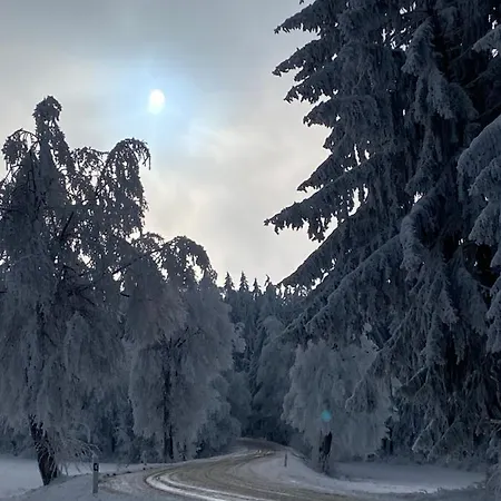 Hillside šumava Strasin