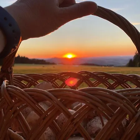 Hillside šumava Aparthotel Strasin