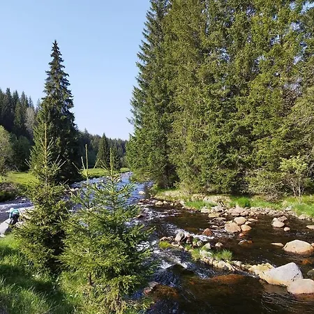 Hillside šumava Strasin