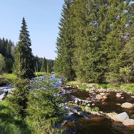 Hillside Sumava Strasin