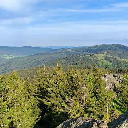 Hillside šumava Aparthotel 3*