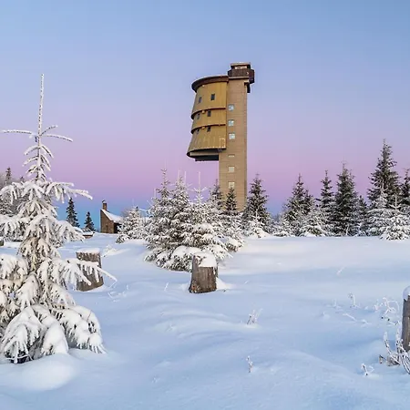 Hillside šumava Aparthotel