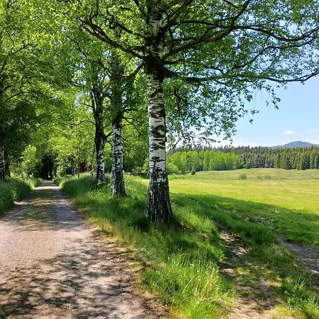 Hillside šumava 3*