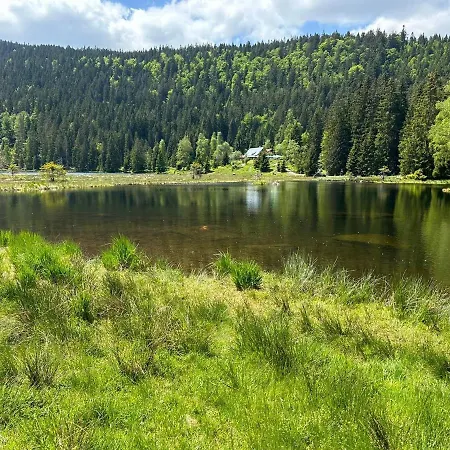 Hillside šumava Aparthotel 3*
